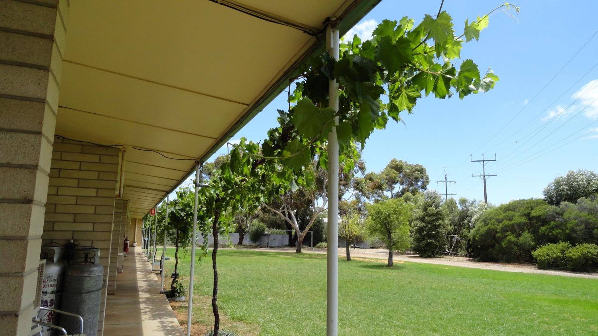 Murray Bridge Motor Inn Exterior photo